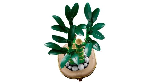 LEGO BOTANICALS 10344 Dracena sandera LEGO BOTANICALS 10344 Dracena sandera