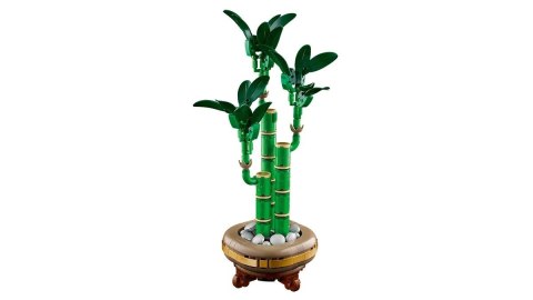 LEGO BOTANICALS 10344 Dracena sandera LEGO BOTANICALS 10344 Dracena sandera