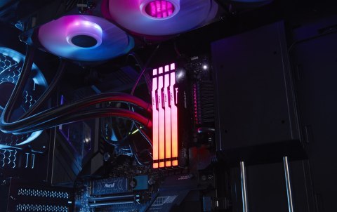 Kingston FURY DDR5 32GB (1x32GB) 5200MHz CL36 Beast Black RGB EXPO Kingston FURY DDR5 32GB (1x32GB) 5200MHz CL36 Beast Black RGB EXPO