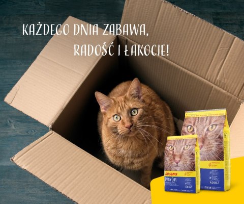 Josera DailyCat - sucha karma dla kotów - 10kg Josera DailyCat - sucha karma dla kotów - 10kg