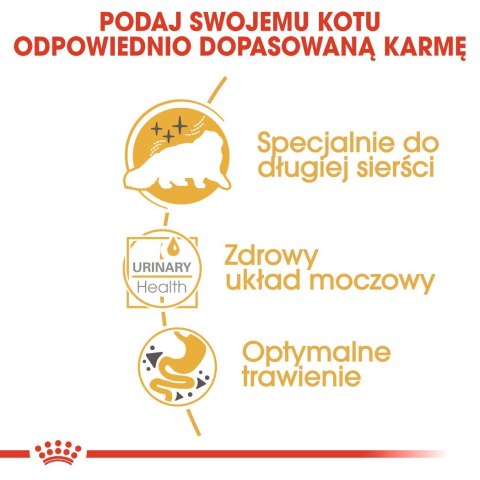 ROYAL CANIN FBN Persian Adult w formie pasztetu - mokra karma dla kota dorosłego - 12x85g ROYAL CANIN FBN Persian Adult w formie pasztetu - mokra karma dla kota dorosłego - 12x85g