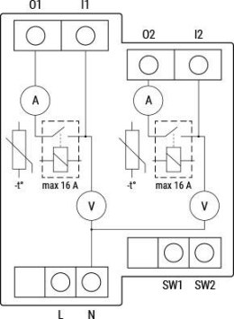 SHELLY Shelly Pro 2PM