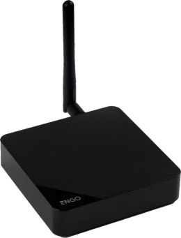 ENGO CONTROLS ENGO Controls EGATE-PRO - Bramka internetowa ZigBee, wersja PRO do urządzeń serii ENGO Smart