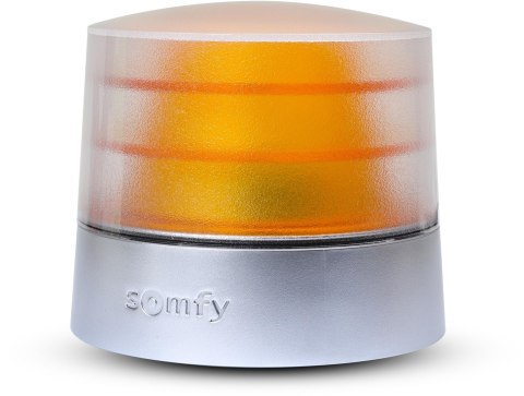SOMFY Zestaw Somfy Ixengo L 24V IO Comfort Pack do 8m bram dwuskrzydłowych