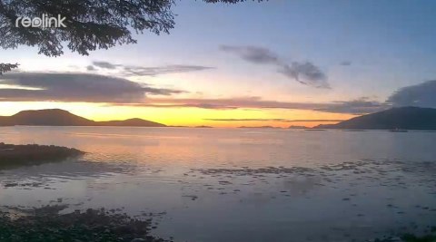 REOLINK Kamera IP WiFi Reolink W320 5Mpix Wi-Fi P2P czarna