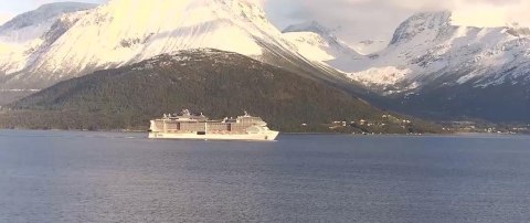 REOLINK Kamera IP WiFi Reolink W320 5Mpix Wi-Fi P2P czarna