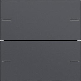 GIRA GIRA zestaw klawiszy 2x TS4 System 55 antracytowy 575228