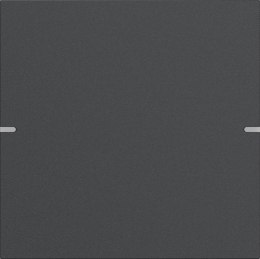 GIRA GIRA zestaw klawiszy 1x TS4 antracyt(lak.) 5021928