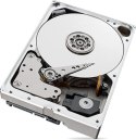SEAGATE DYSK SEAGATE IronWolf ST10000VN000 10TB