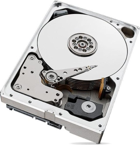 SEAGATE DYSK SEAGATE IronWolf ST10000VN000 10TB