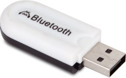 HQM Adapter Bluetooth USB dla wzmacniaczy HQM