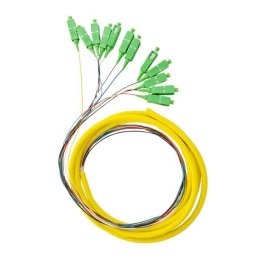 OEM 12X PIGTAIL SC/APC SM G657A2 GOLD zestaw 12x 2m