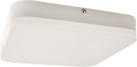 DPM SOLID Plafon LED IP44 kwadratowy 8W 4000K neutralna biała