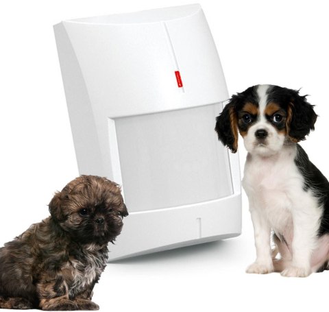 SATEL SATEL CZUJNIK RUCHU PIR+MW GREY